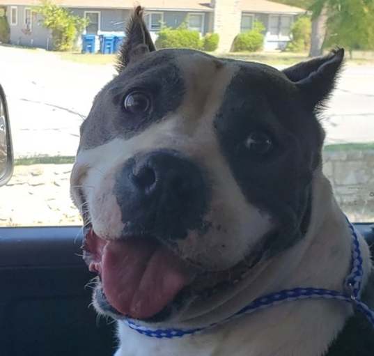 Photo of Kody