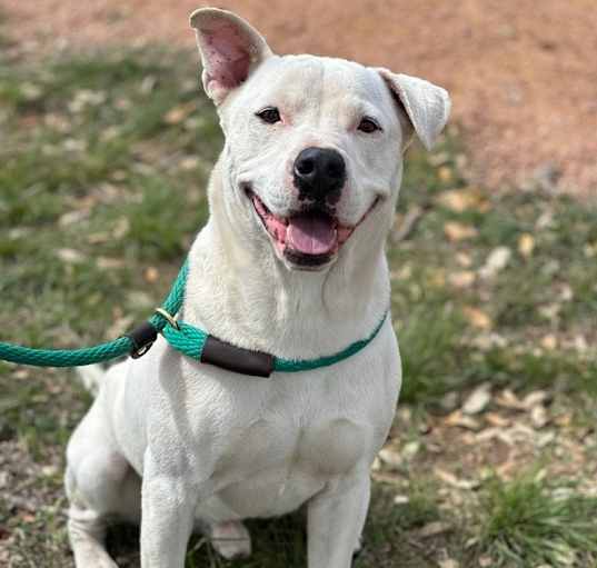 Photo of Gomez (Gus)