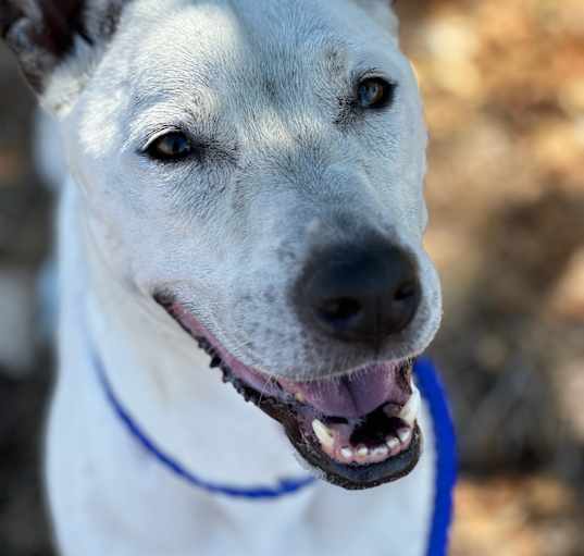 Photo of Ghost