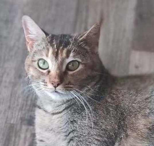 Photo of Luna [CP]