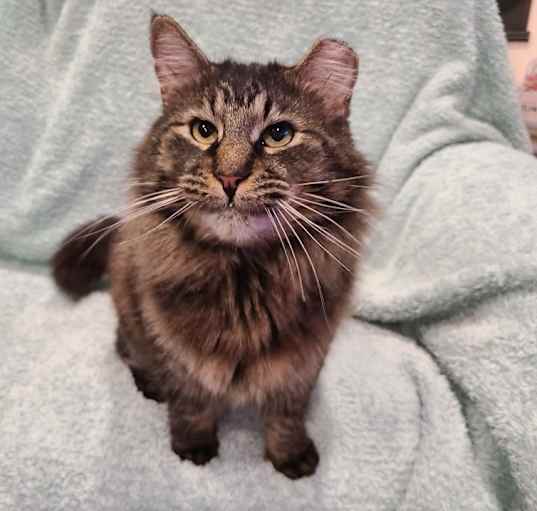 Photo of Big Fluff