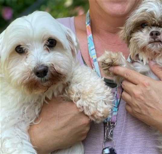 Photo of Lacey & Harvest