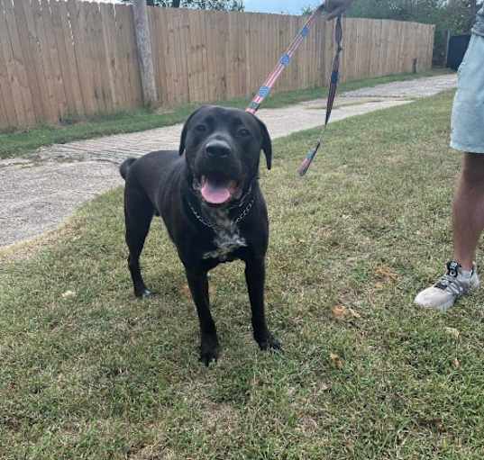 Photo of Waylon