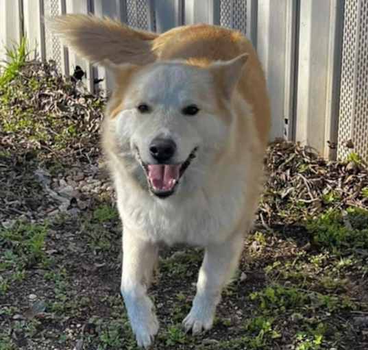 Photo of Luna Judge