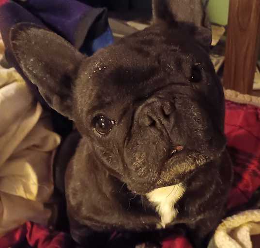 Photo of Hazel