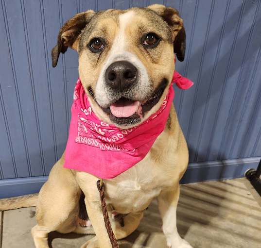 Photo of Jazzy Jasmine