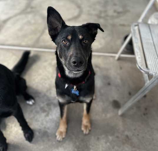 Photo of Suni