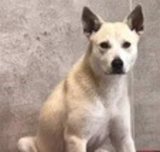 Photo of Aspen