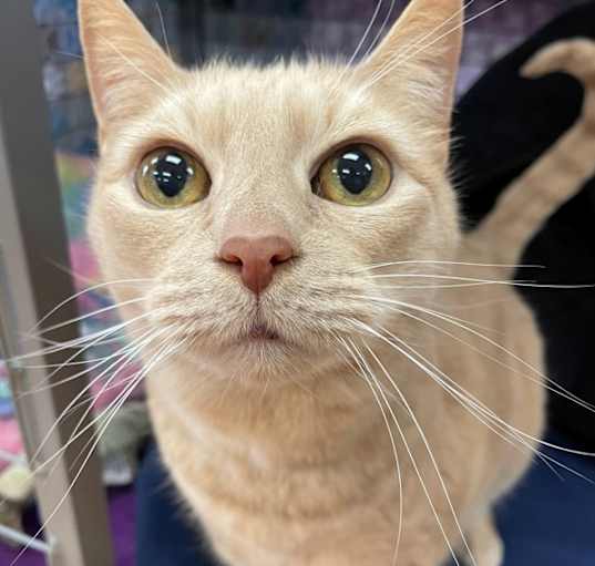 Photo of Little Miss