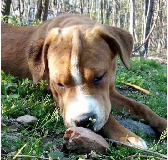 Photo of Holly