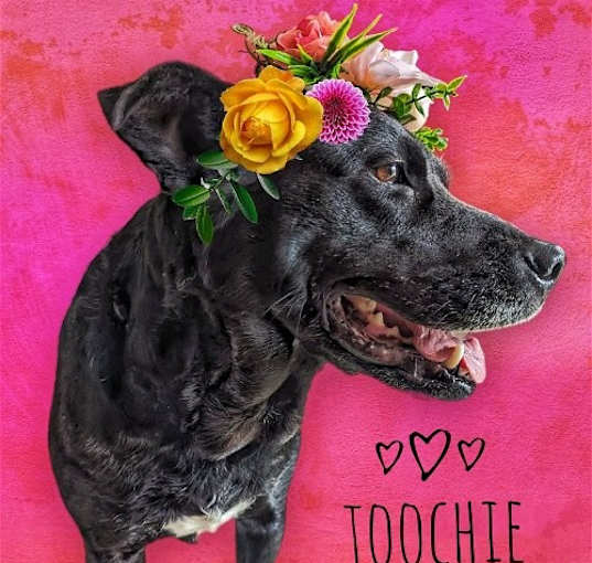 Photo of Toochie