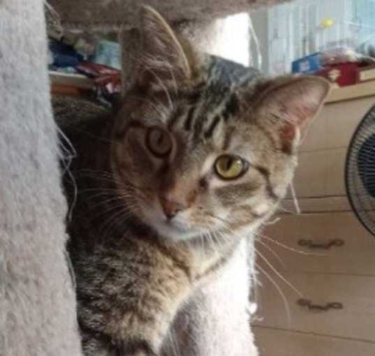 Photo of jody