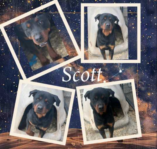 Photo of Scott