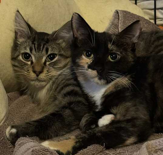 Photo of Spice