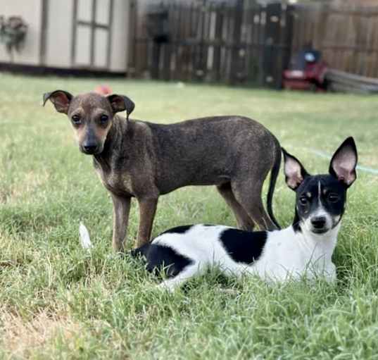 Photo of Lacy and Nikki