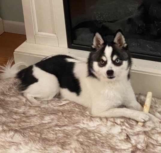 Photo of Kiki