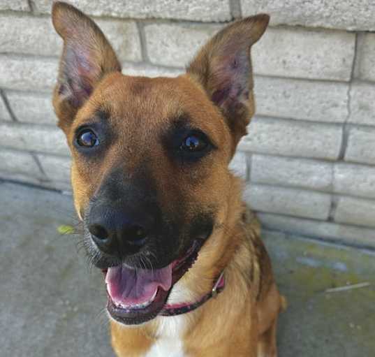 Photo of Leilani