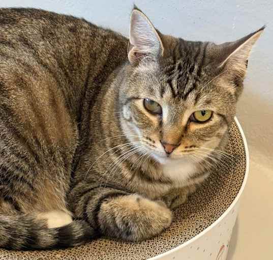 Photo of Stormy