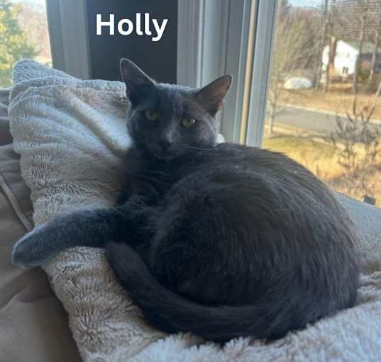 Photo of Holly