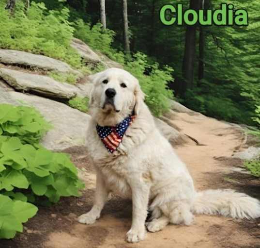 Photo of Cloudia (2) in NH