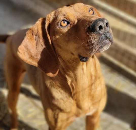 Photo of Dapper Dan