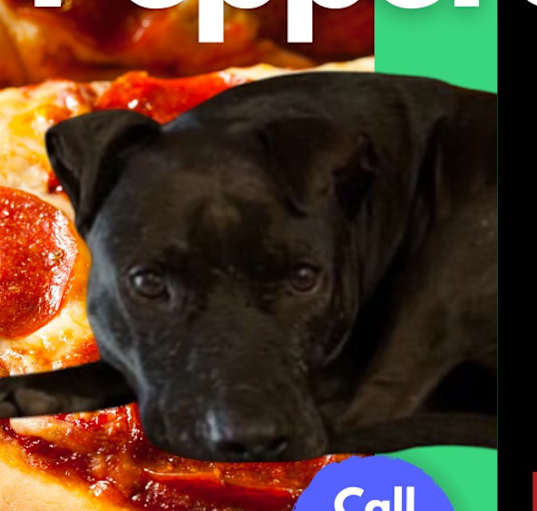 Photo of PEPPERONI