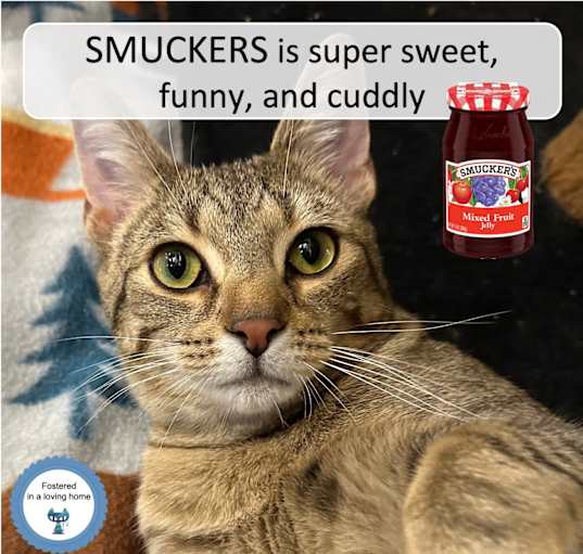Photo of Smuckers