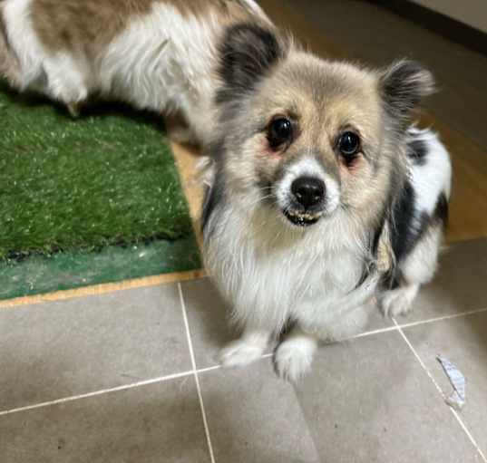Photo of Minky