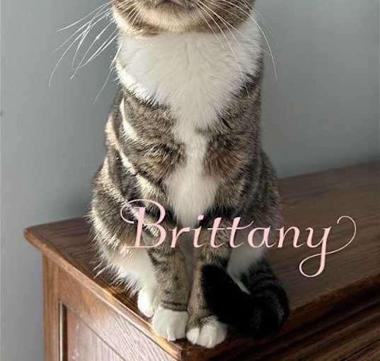 Photo of Brittany