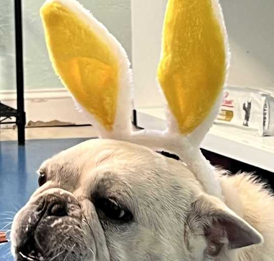 Photo of Wally