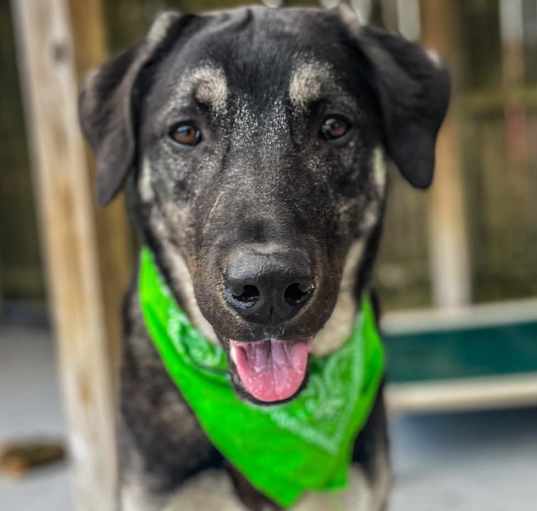 Photo of Tiko
