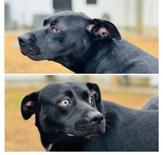 Photo of Missy