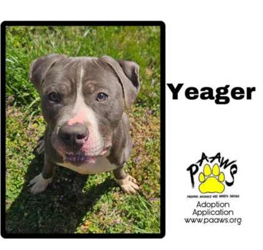 Photo of Yeager