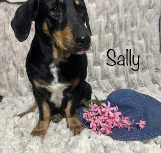 Photo of Sally