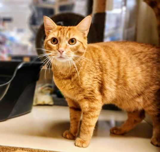 Photo of Chase