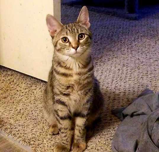 Photo of Georgie