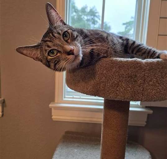 Photo of FERRIS