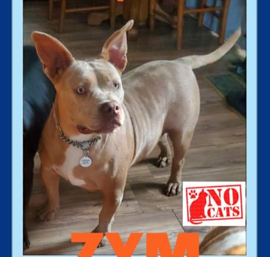 Photo of ZYM -$100