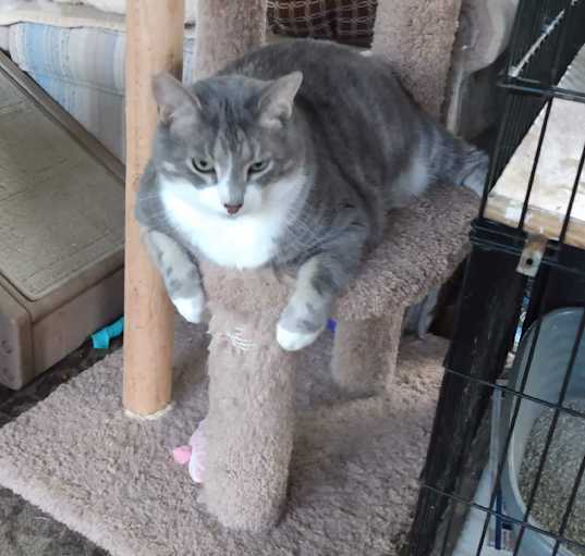 Photo of Louie