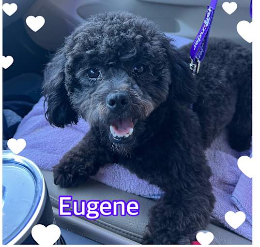 Photo of Eugene