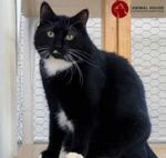 Photo of Juniper