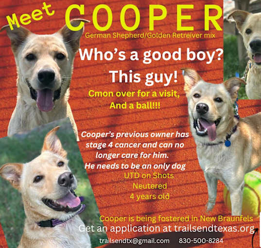 Photo of Cooper