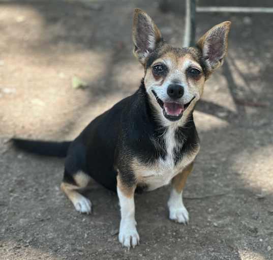 Photo of Ethel