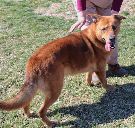 Photo of Gunther