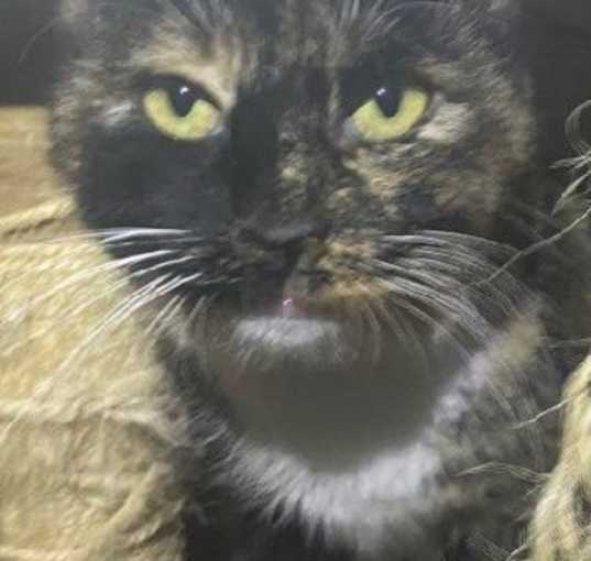 Photo of MARCY