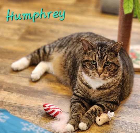 Photo of Humphrey