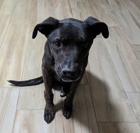 Photo of Kronus