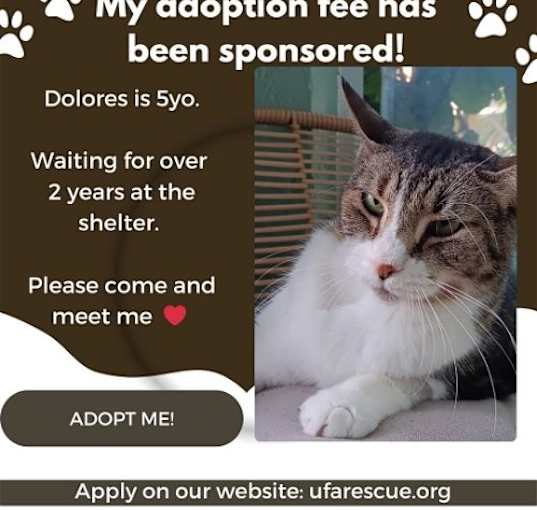 Photo of Dolores