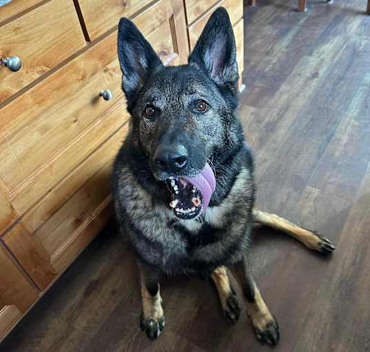Photo of Gunner