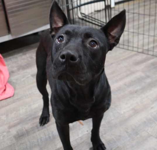 Photo of Sarafina